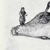 Steller's sea cow sketch